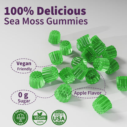 Sea Moss Supplement 5000mg, Sugar Free Sea Moss Gummies, Irish Sea Moss