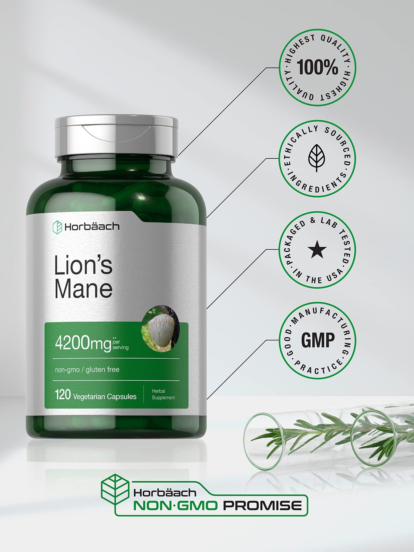 Horbäach Lions Mane Mushroom Extract | 4200mg | 120 Capsules | Vegetarian