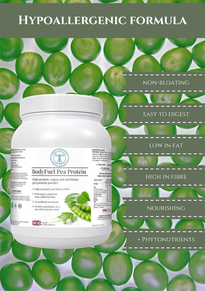 Complementary Supplements - BodyFuel Hypoallergenic Pea Protein Isolate Powder Plus Phytonutrients