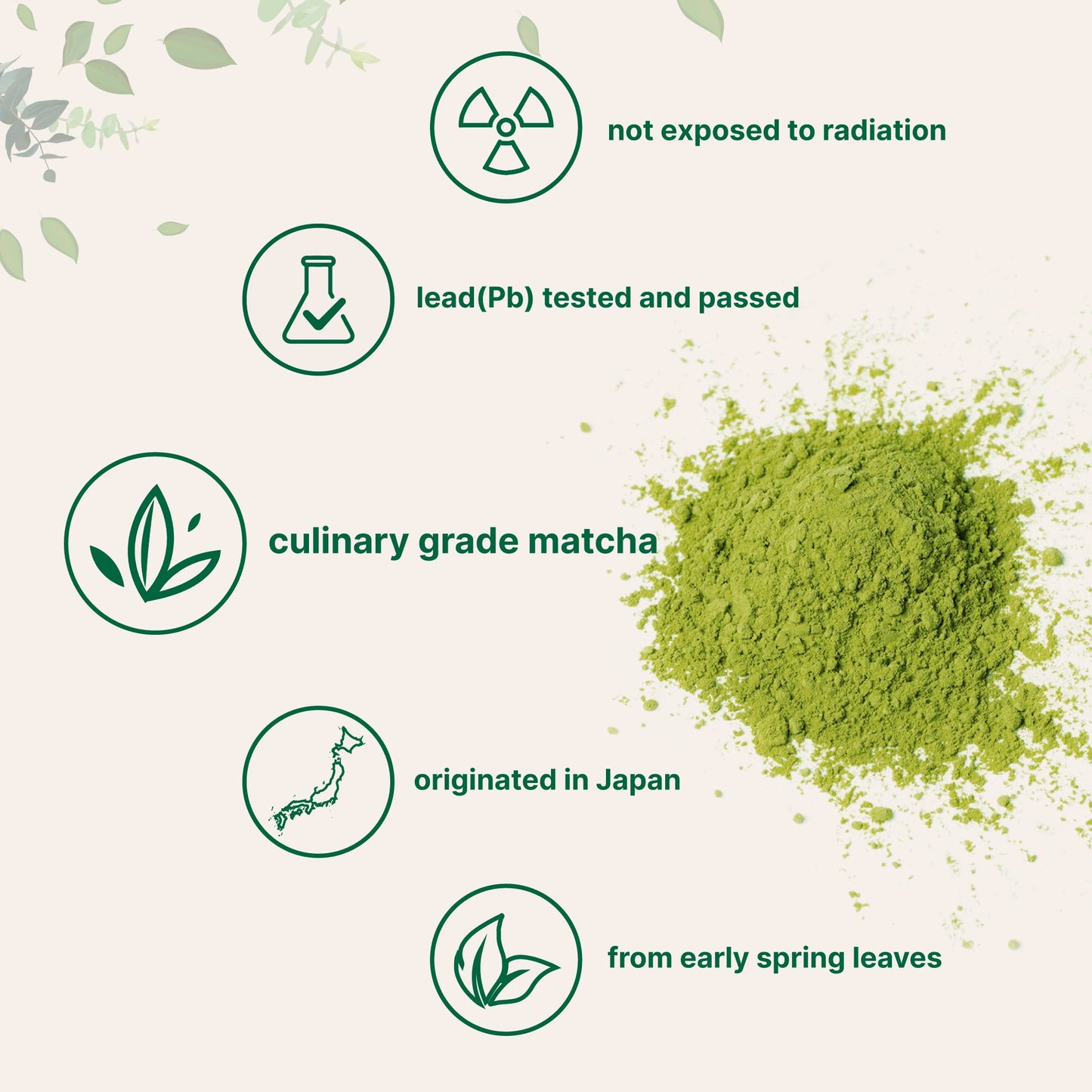 Micro Ingredients Organic Matcha Green Tea Powder, 1lb | Premium First Harvest Japanese