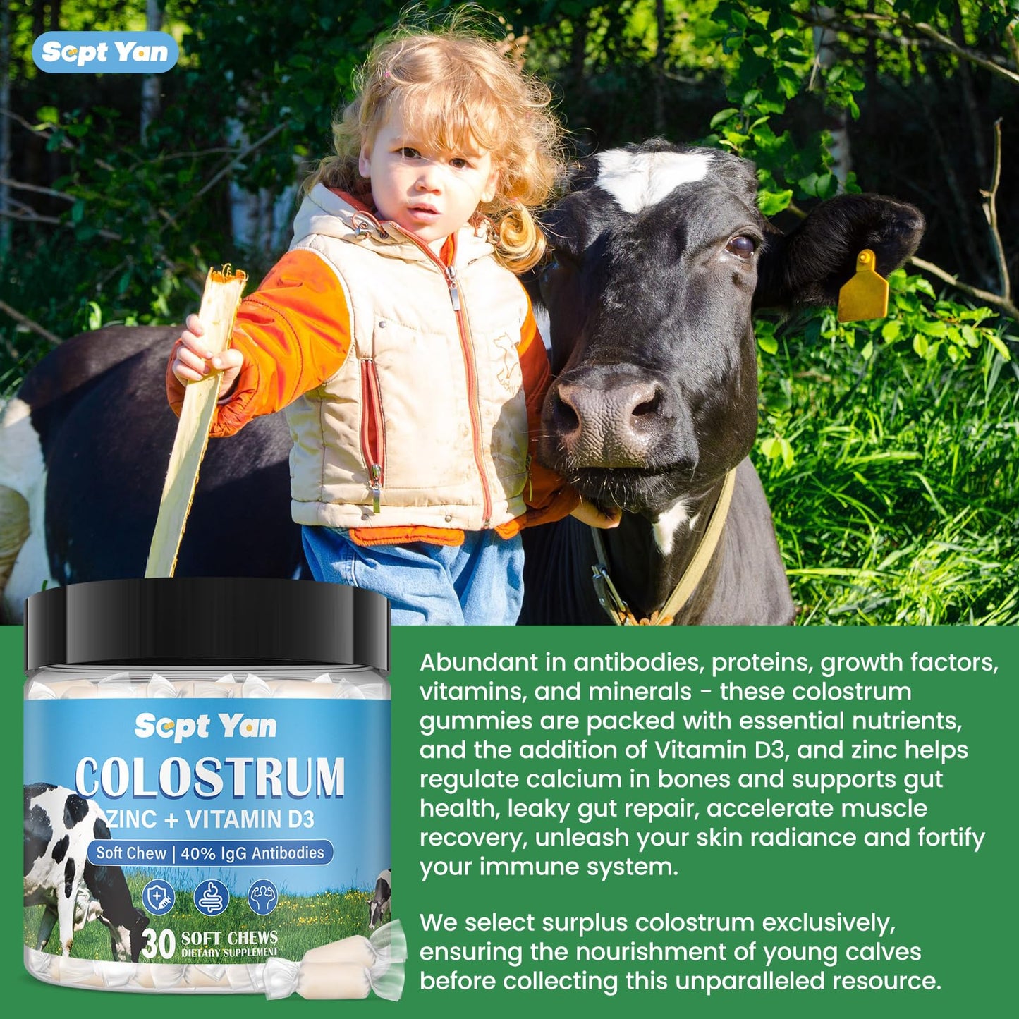 Colostrum Soft Chew Supplement (3000mg + 40% IgG), Concentrated Bovine Colostrum