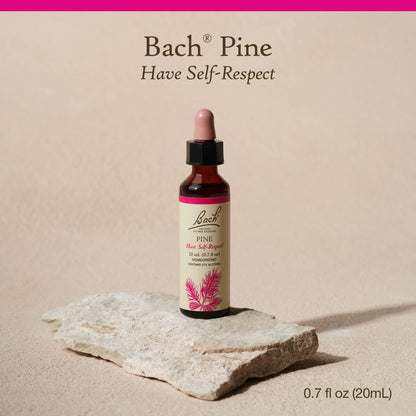 Bach Original Flower Remedies, Pine for Self Respect, Natural Homeopathic Flower Essence