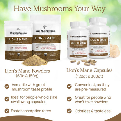 Real Mushrooms Lion’s Mane Powder - Organic Lions Mane Mushroom Extract