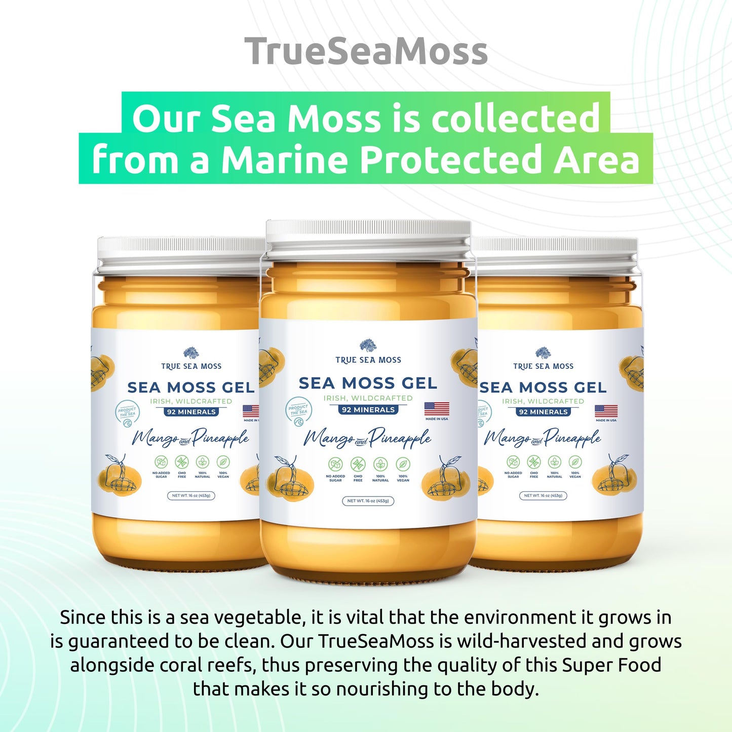 TrueSeaMoss Wildcrafted Irish Sea Moss Gel –7 Flavors- Nutritious Organic Raw