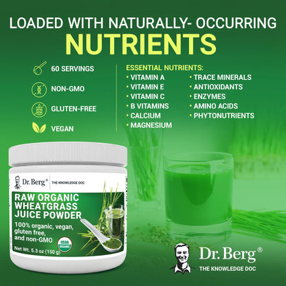 Dr. Berg's Wheatgrass Superfood Powder - Raw Juice Organic Ultra-Concentrated Rich