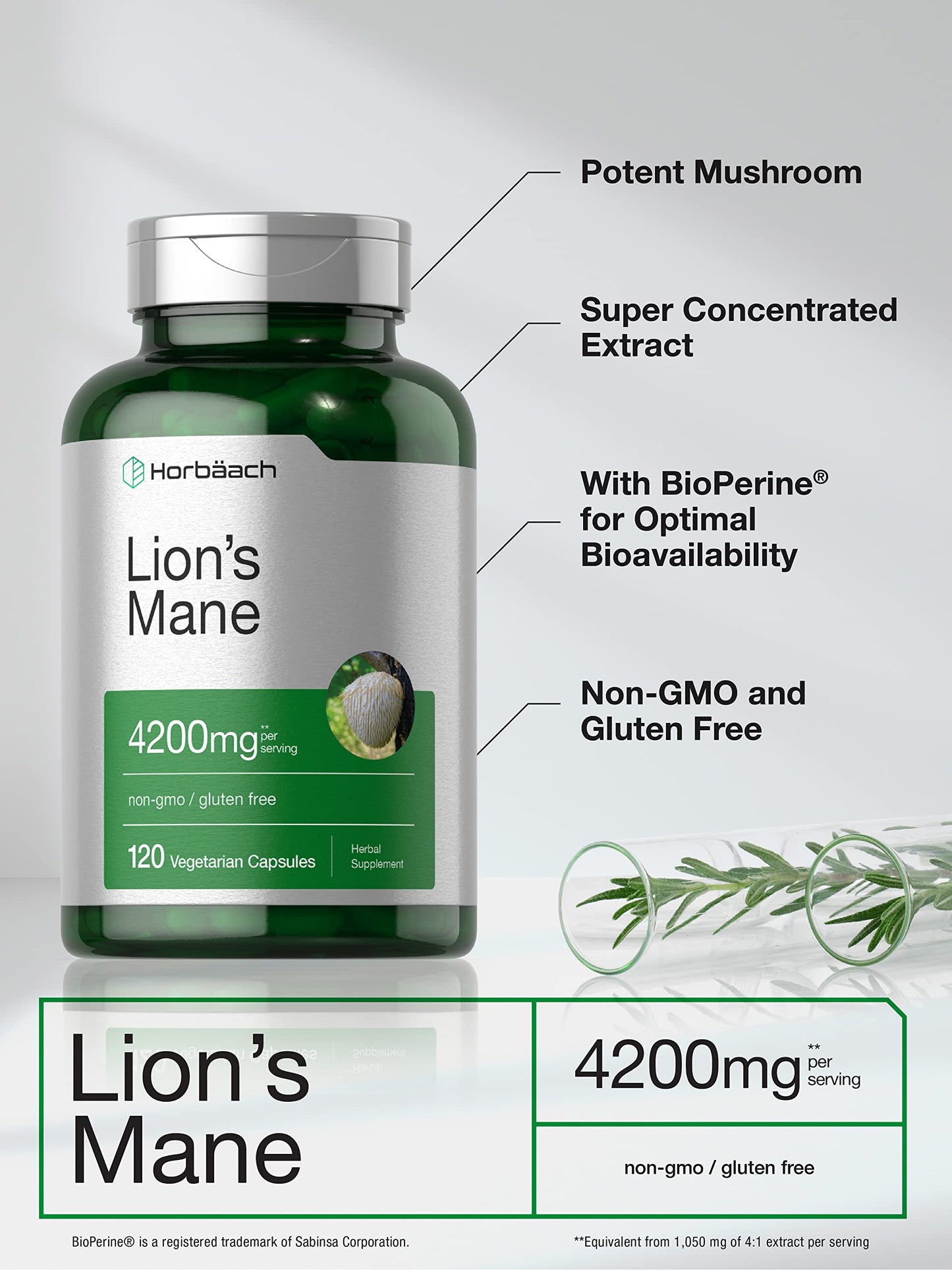 Horbäach Lions Mane Mushroom Extract | 4200mg | 120 Capsules | Vegetarian