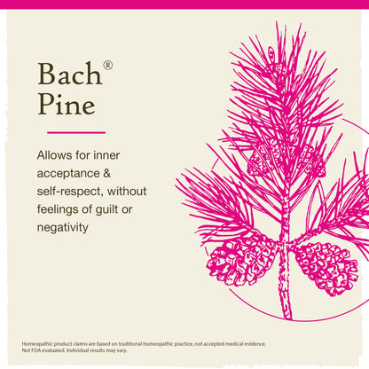 Bach Original Flower Remedies, Pine for Self Respect, Natural Homeopathic Flower Essence