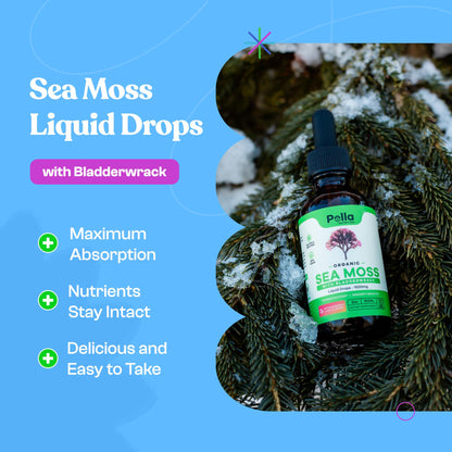 Organic Sea Moss Drops - 1000mg Irish Sea Moss - 4X Stronger than Sea Moss Gel