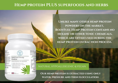 Complementary Supplements - BodyFuel Hemp Protein Powder Plus 14 Superfoods & Phytonutrients