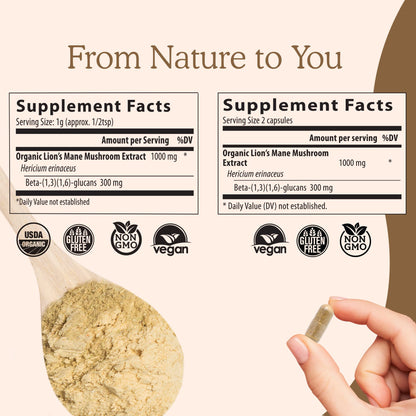 Real Mushrooms Lion’s Mane Capsules - Organic Lions Mane Mushroom Extract