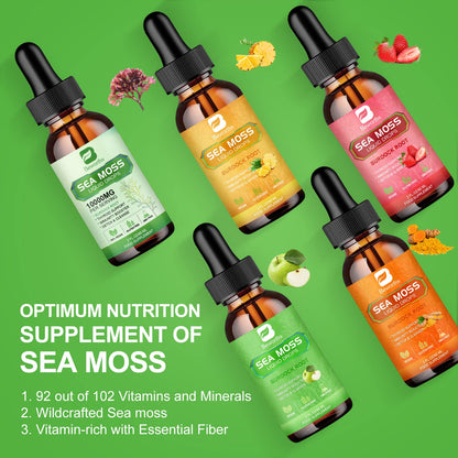 B BEWORTHS Sea Moss Liquid Drops - Organic Irish Sea Moss Gel with Burdock Root