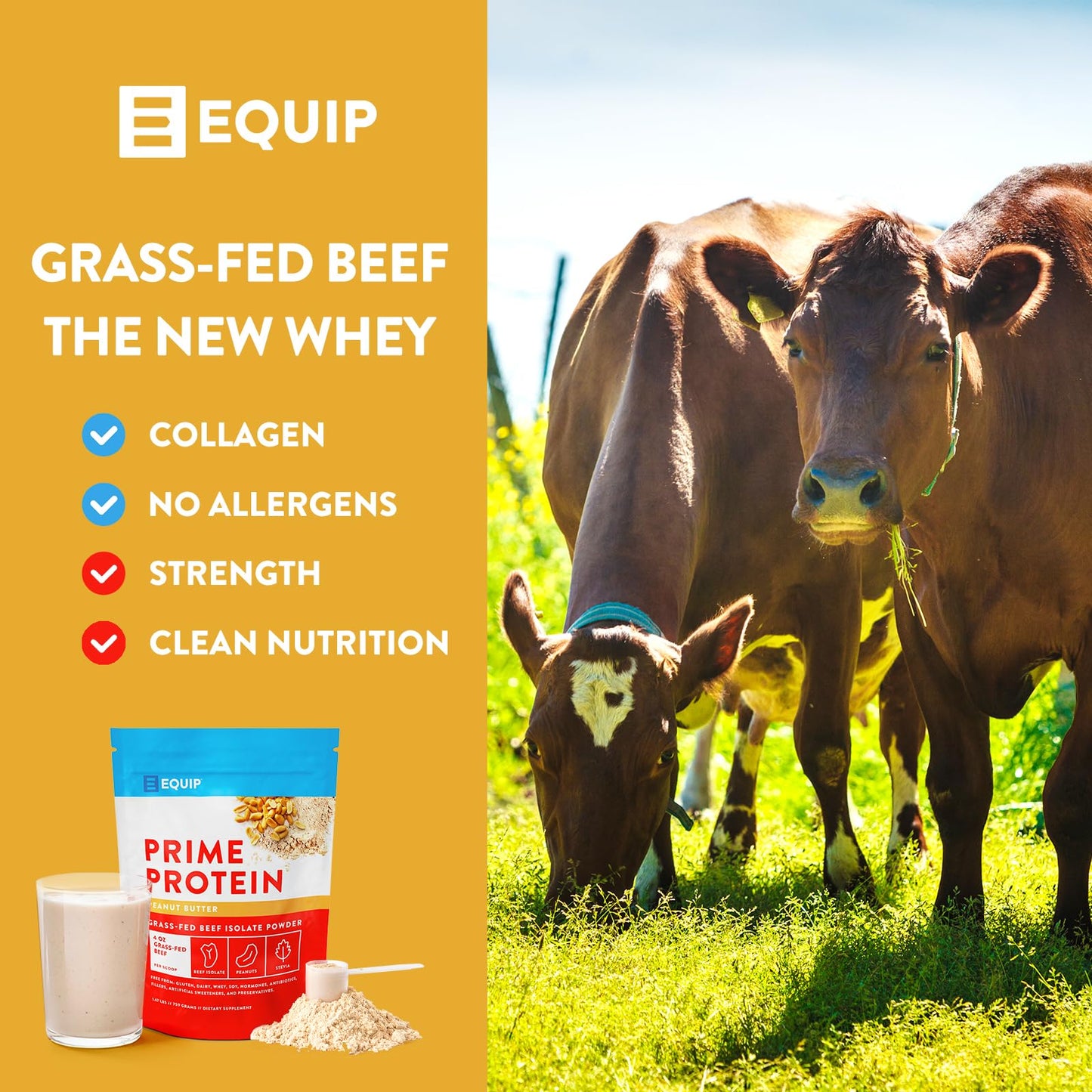 Equip Foods Prime Protein - Grass Fed Beef Protein Powder Isolate - Paleo and Keto Friendly