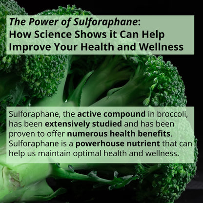 GIGANTIC Sulforaphane + Myrosinase 10mg (120 Capsules) - Includes Vitamin C