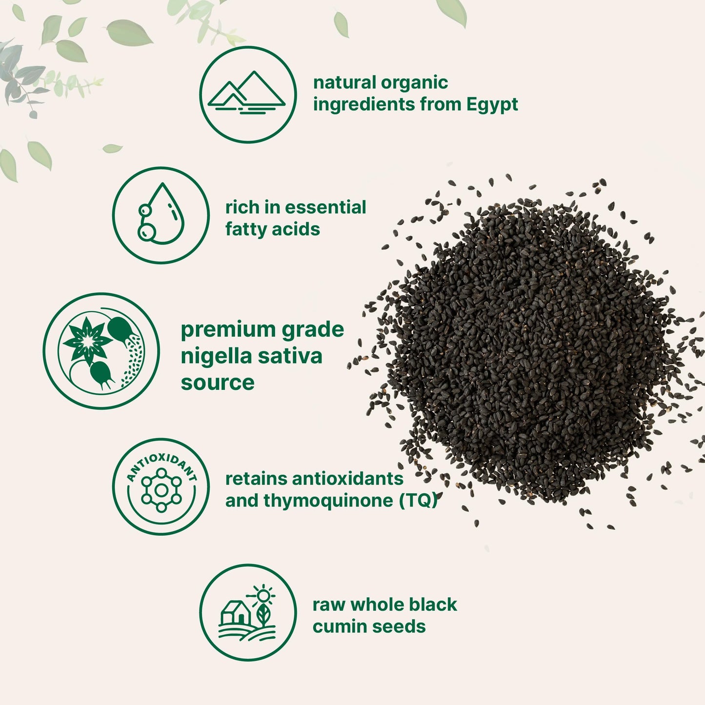 Organic Black Cumin Seed (Nigella Sativa), 2lbs | Premium Grade Whole Black Seed