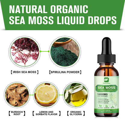 B BEWORTHS Sea Moss Liquid Drops - Organic Irish Sea Moss Gel with Burdock Root