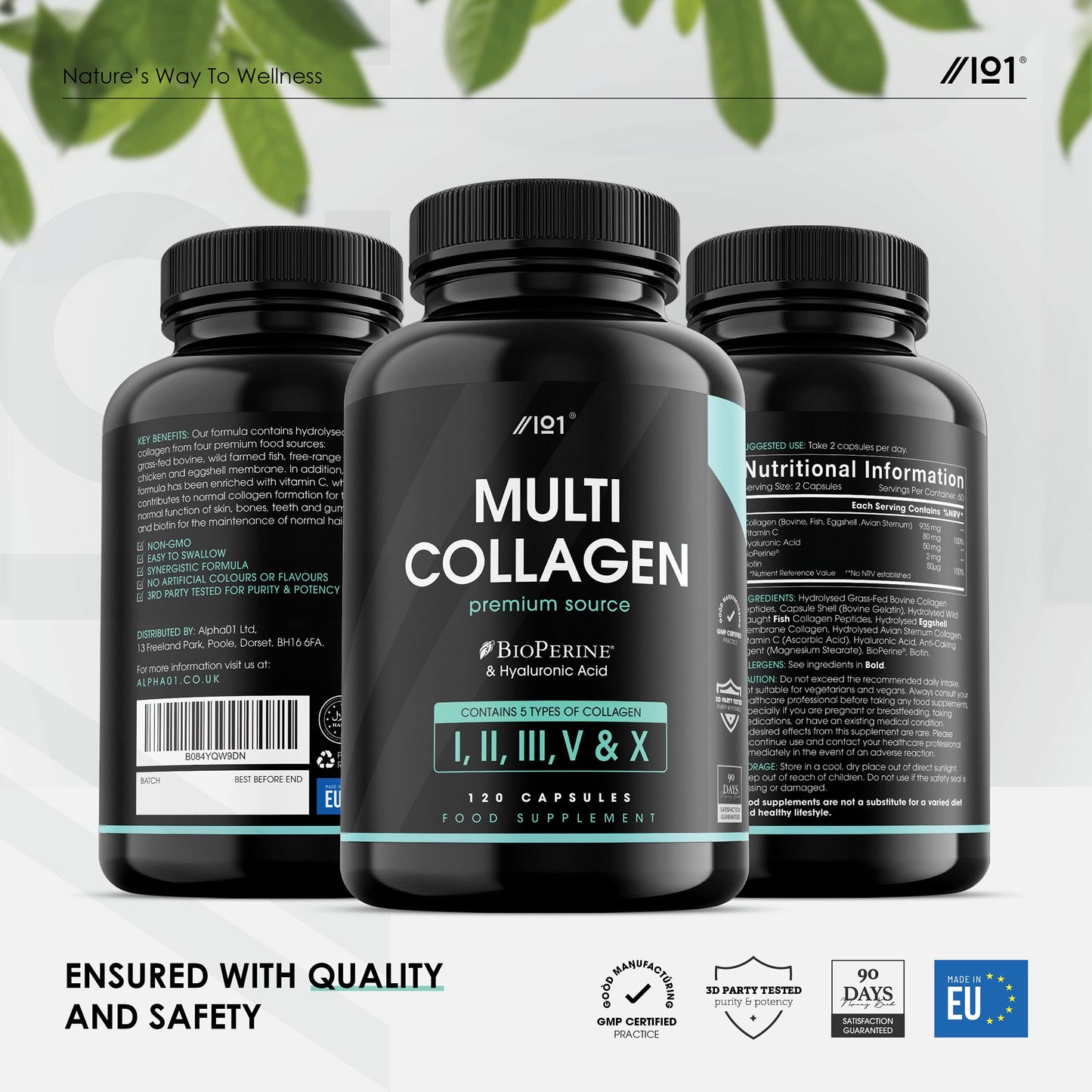 Multi Collagen Capsules - 120 Capsules - Types I, II, III, V & X - Wild Caught Fish, Grass Fed Bovine, Eggshell