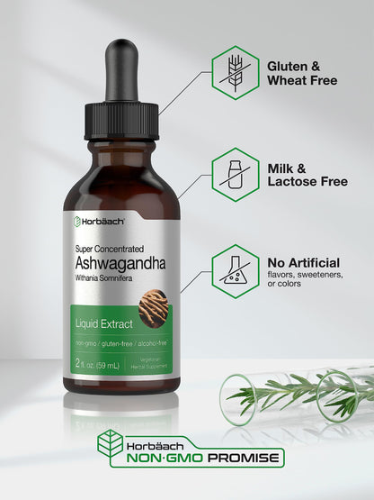 Ashwagandha Root Liquid Extract | 2 fl oz | Alcohol Free Tincture | Vegetarian, Non-GMO, Gluten Free Supplement | by Horbaach