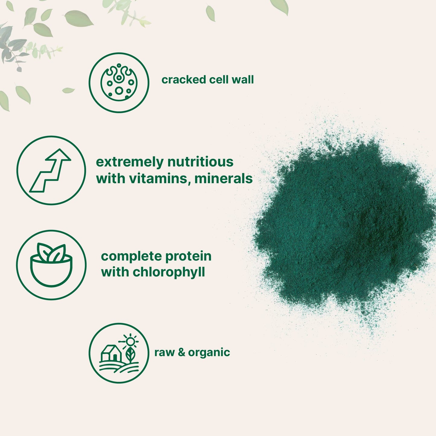 Organic Chlorella Powder, 10 Ounce, Broken Cell Wall, Rich in Vegan Proteins & Vitamins