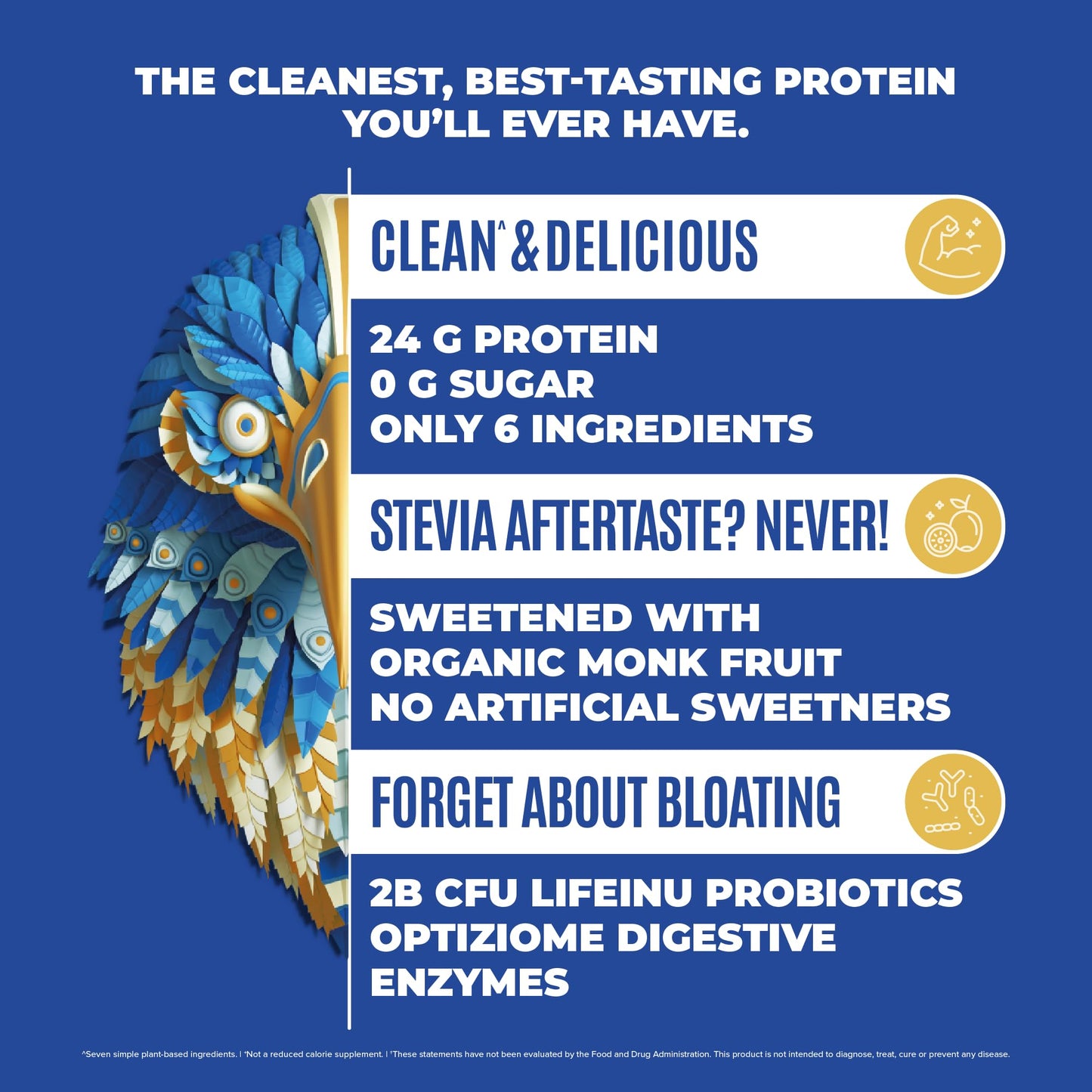 BIRDMAN Falcon Vegan Protein Powder Organic, Stevia & Sugar Free, Plant Based Protein