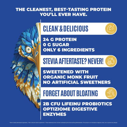 BIRDMAN Falcon Vegan Protein Powder Organic, Stevia & Sugar Free, Plant Based Protein