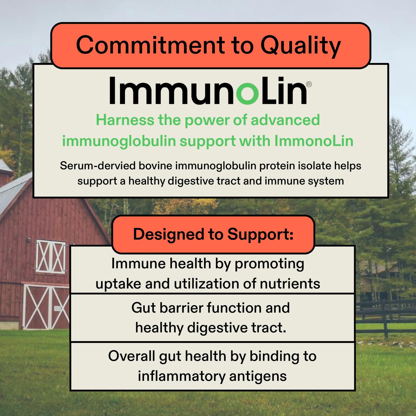 Colostrum Supplement for Gut Health, Hair Growth, Beauty and Immune Support