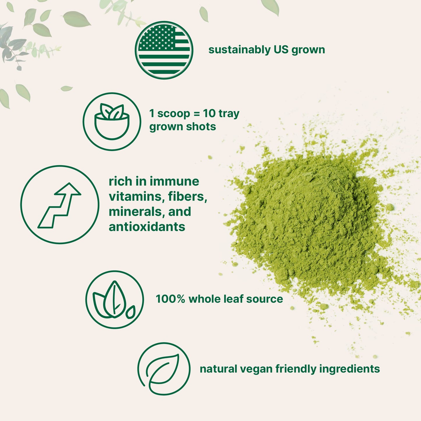 Micro Ingredients Sustainably US Grown, Organic Wheat Grass Powder