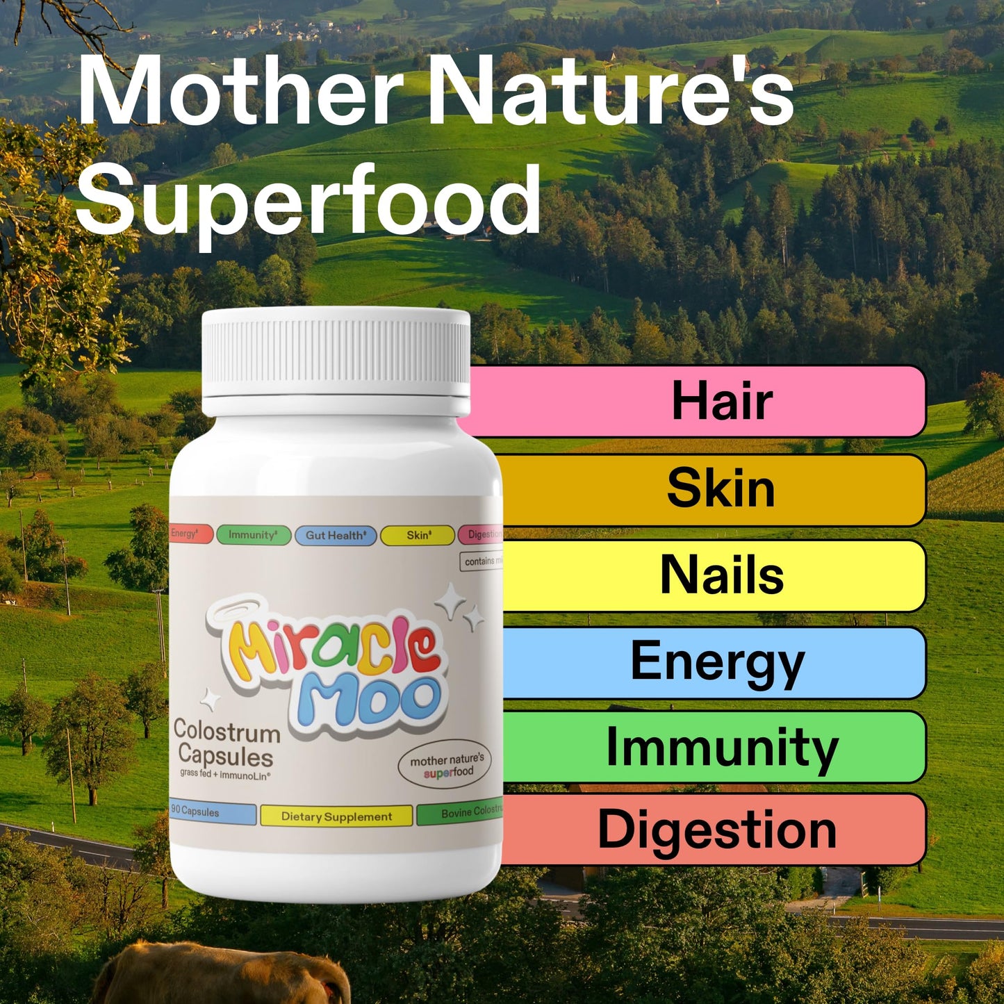 Colostrum Supplement for Gut Health, Hair Growth, Beauty and Immune Support ( 30 Servings)