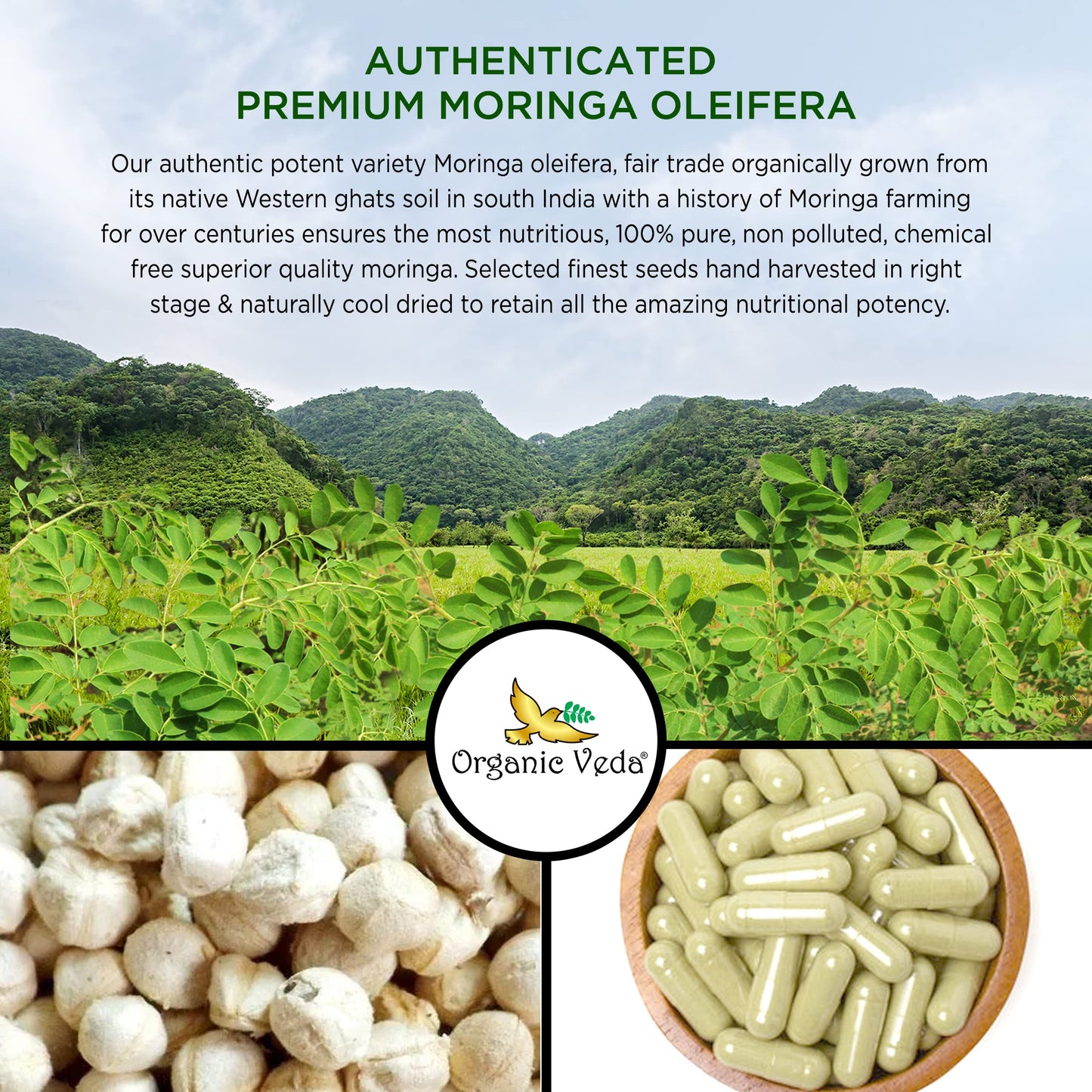 Organic Veda Moringa Seed Capsules - Pure Organic Moringa Capsules Seed Powder