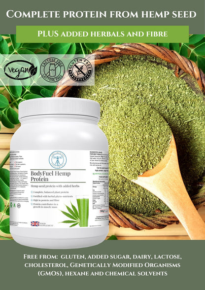 Complementary Supplements - BodyFuel Hemp Protein Powder Plus 14 Superfoods & Phytonutrients