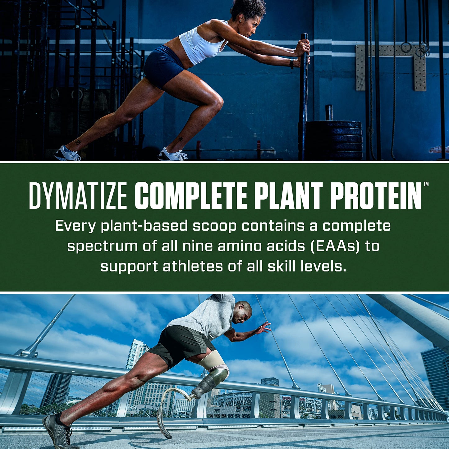 Dymatize Vegan Plant Protein, Creamy Chocolate, 25g Protein, 4.8g BCAAs, Complete