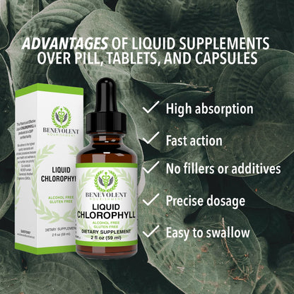 Benevolent Chlorophyll Liquid Drops - 100% Natural + 4X Potency Concentration for Energy