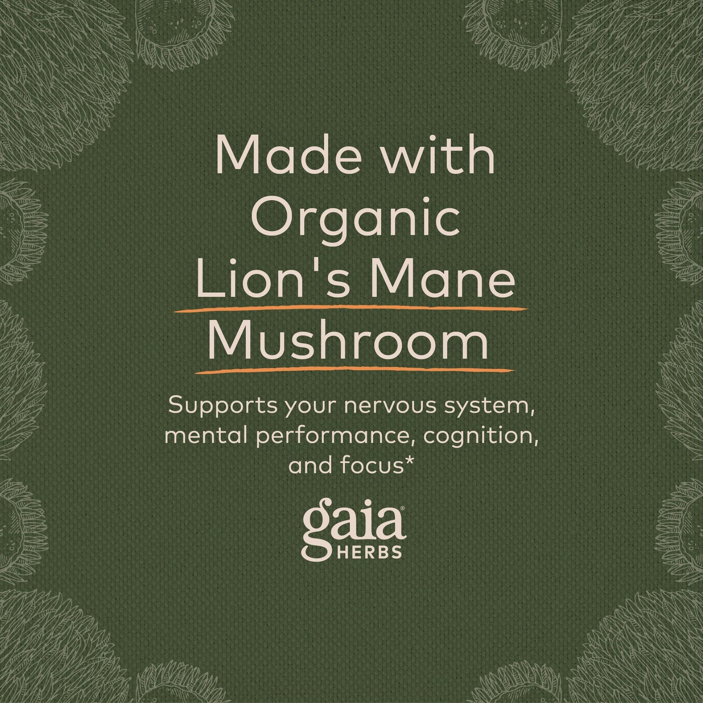 Gaia Herbs Organic Lion’s Mane Mushroom - Brain and Nerve Support Supplement