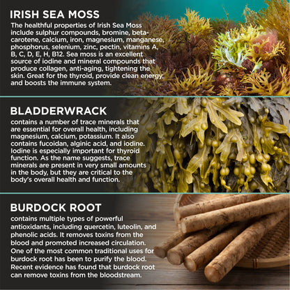 HerbaMe Organic Irish Sea Moss with Bladderwrack, Burdock Root & Black Pepper Extract